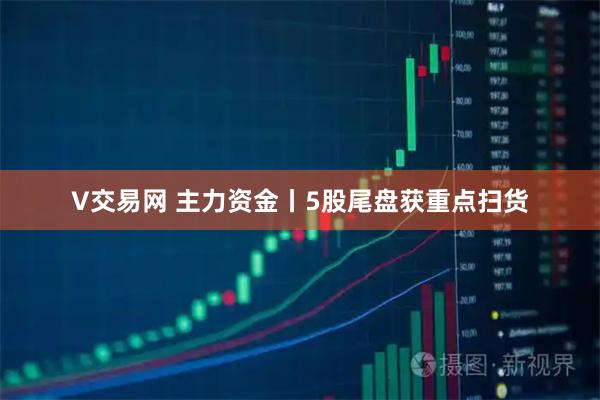 V交易网 主力资金丨5股尾盘获重点扫货