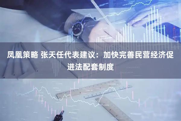 凤凰策略 张天任代表建议：加快完善民营经济促进法配套制度