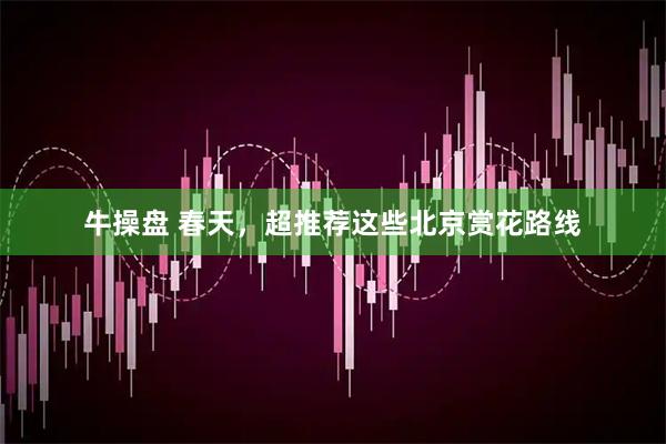 牛操盘 春天，超推荐这些北京赏花路线