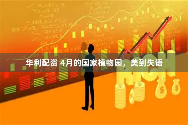 华利配资 4月的国家植物园，美到失语