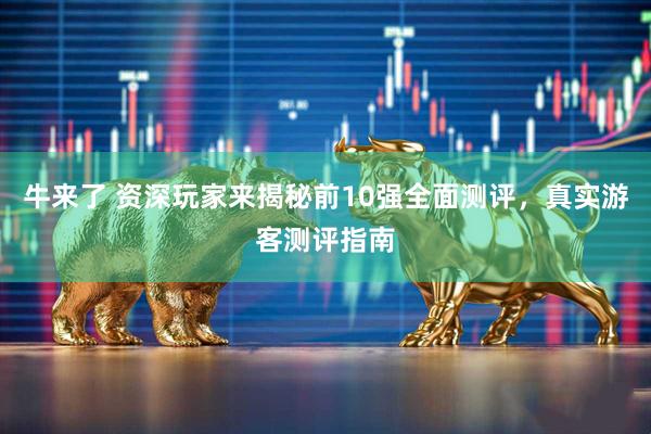 牛来了 资深玩家来揭秘前10强全面测评，真实游客测评指南